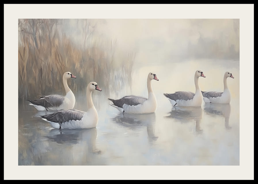 Öt fehér hattyú siklik kecsesen a tükörsima tavon.-12