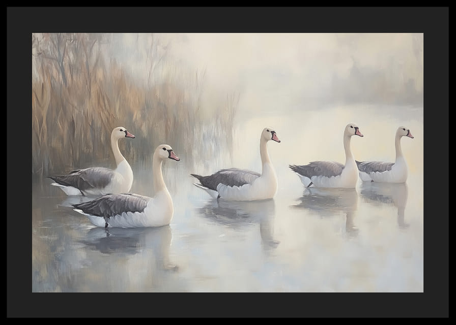 Öt fehér hattyú siklik kecsesen a tükörsima tavon.-12