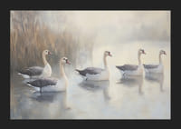 Öt fehér hattyú siklik kecsesen a tükörsima tavon.-5