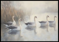 Five white swans glide gracefully on the mirror-like lake.-2