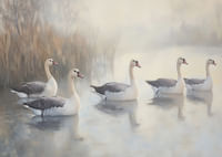 Five white swans glide gracefully on the mirror-like lake.-3