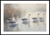 Five white swans glide gracefully on the mirror-like lake.-0