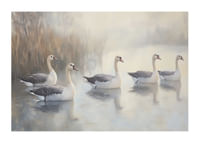 Five white swans glide gracefully on the mirror-like lake.-1