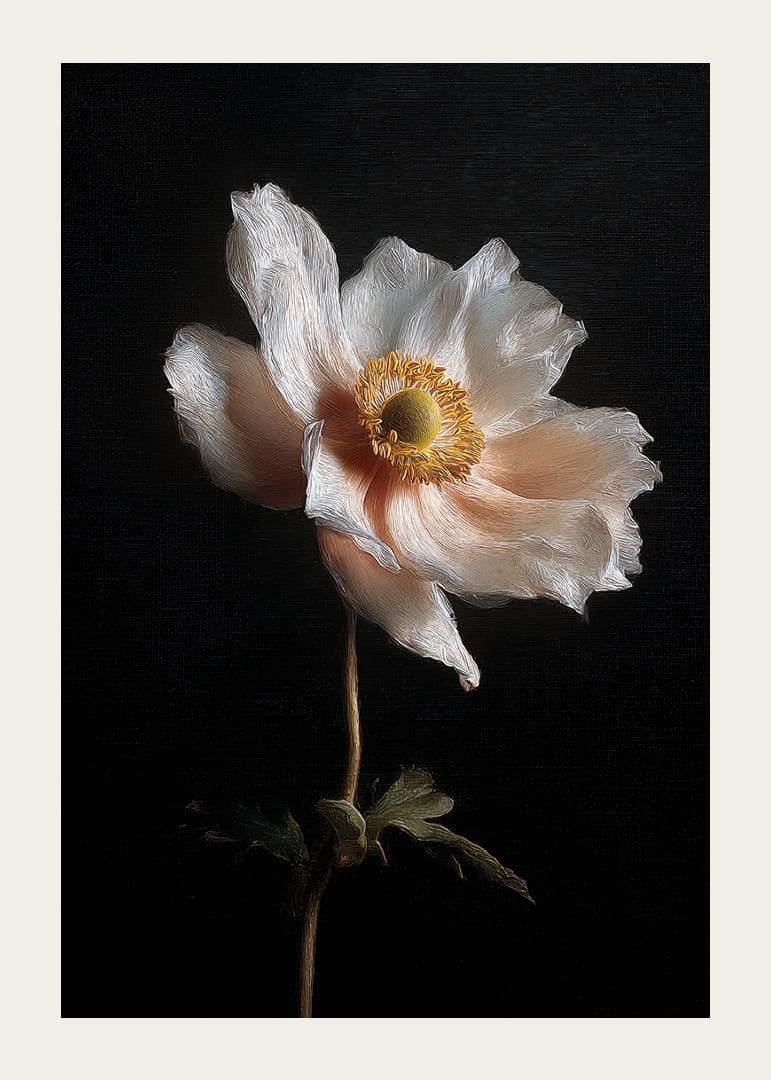 Yksinäinen kukka loistaa tummaa taivasta vasten.-12