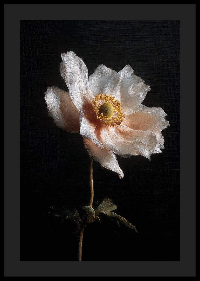 Yksinäinen kukka loistaa tummaa taivasta vasten.-12