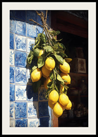 Vibrant lemons against an azulejo wall in the sunlight.-2