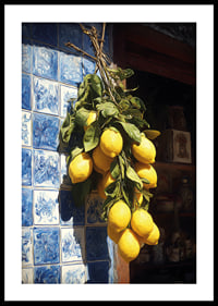 Vibrant lemons against an azulejo wall in the sunlight.-0