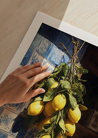 Vibrant lemons against an azulejo wall in the sunlight.-9