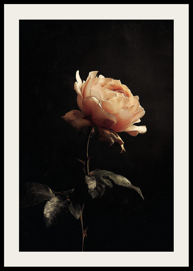 En ensom rose gløder mod en mystisk mørk baggrund.-12