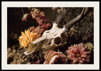 Une combinaison spectaculaire de fleurs et de crânes d'animaux.-2