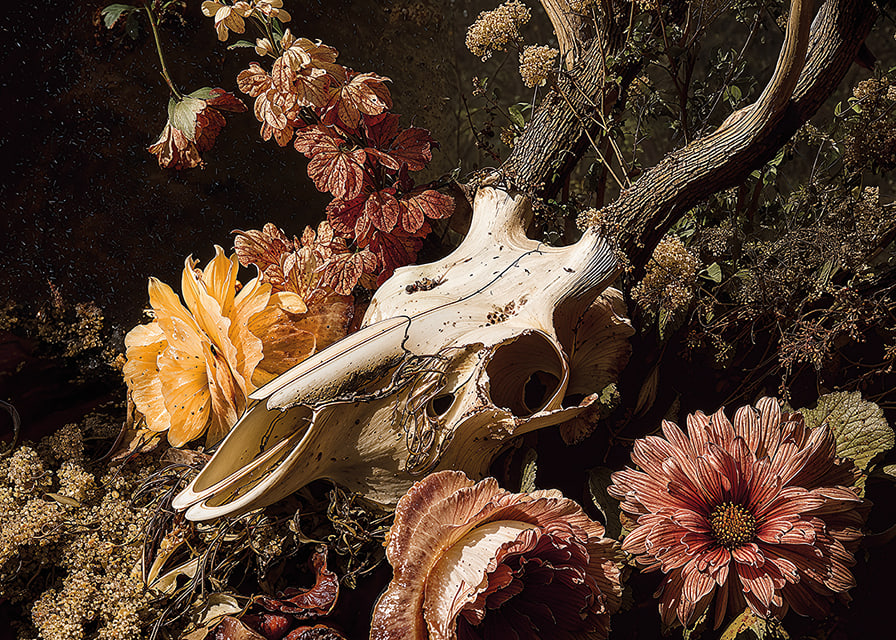 En dramatisk kombination av blommor och djurskalle.-12
