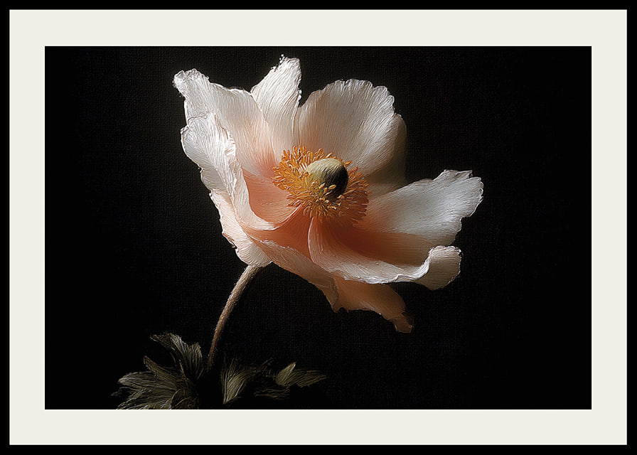 An elegant flower in soft colors against a dark background.-12