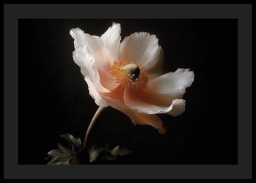 Een elegante bloem in zachte kleuren tegen een donkere achtergrond.-12