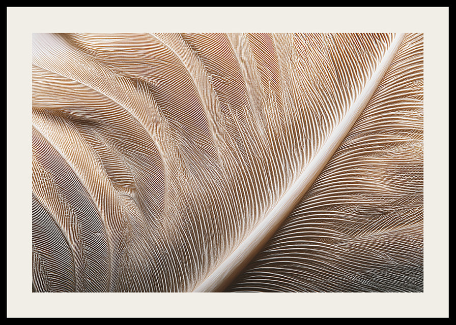 Feathers in soft, subtle patterns enchant the viewer.-12