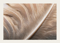 Feathers in soft, subtle patterns enchant the viewer.-3