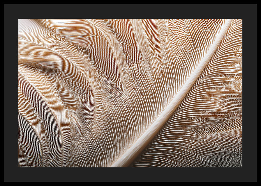 Feathers in soft, subtle patterns enchant the viewer.-12