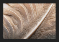 Feathers in soft, subtle patterns enchant the viewer.-5
