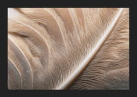 Veren in zachte, subtiele patronen betoveren de kijker.-5