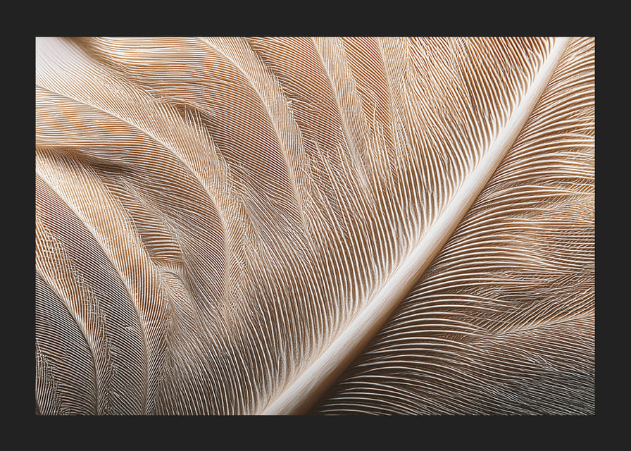 Veren in zachte, subtiele patronen betoveren de kijker.-12