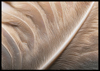 Feathers in soft, subtle patterns enchant the viewer.-6