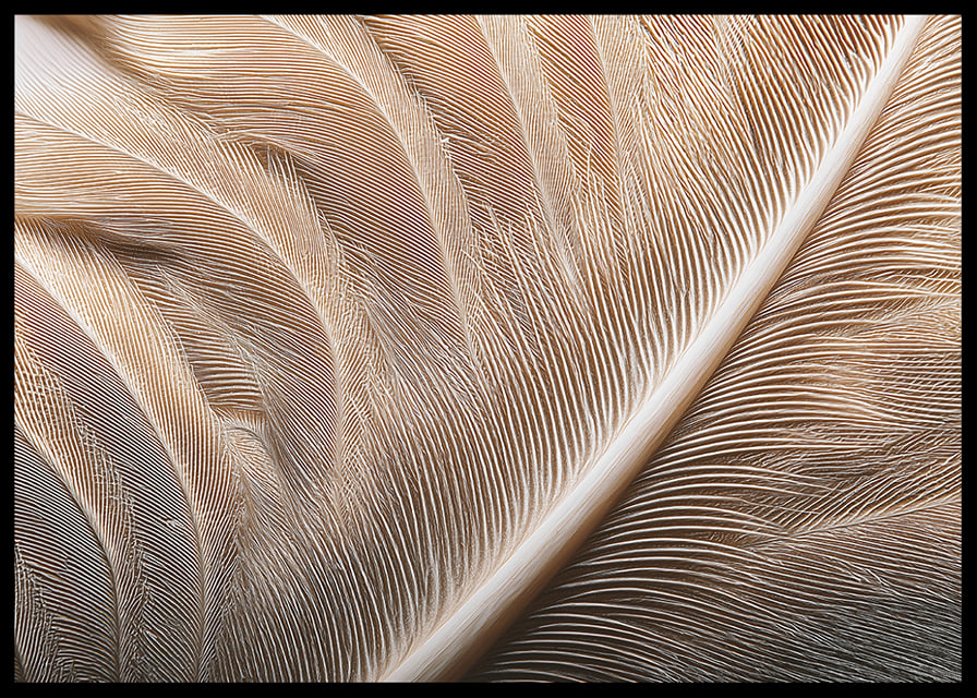 Feathers in soft, subtle patterns enchant the viewer.-12