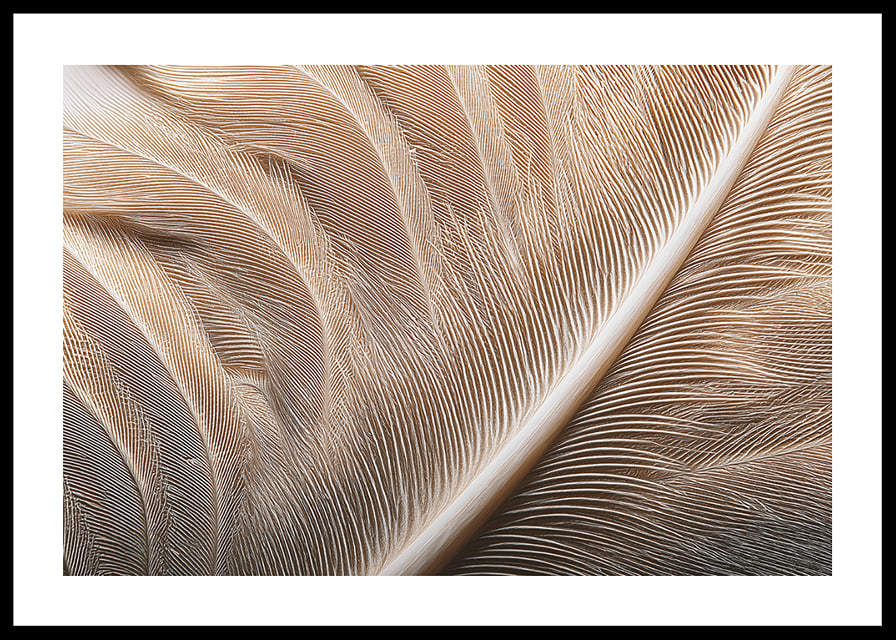 Feathers in soft, subtle patterns enchant the viewer.-12