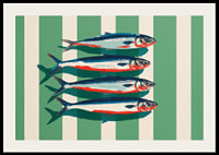 Las sardinas de colores se disponen en perfecta simetría.-2