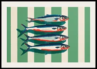 Colorful sardines arrange themselves in perfect symmetry.-2