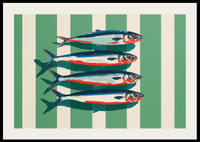 Farverige sardiner arrangerer sig i perfekt symmetri.-2