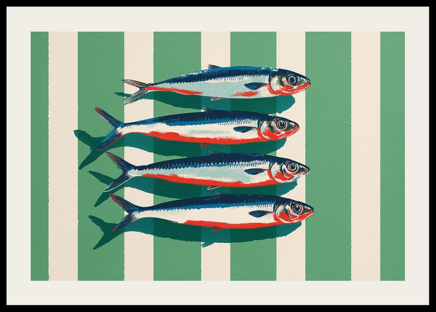 Farverige sardiner arrangerer sig i perfekt symmetri.-12