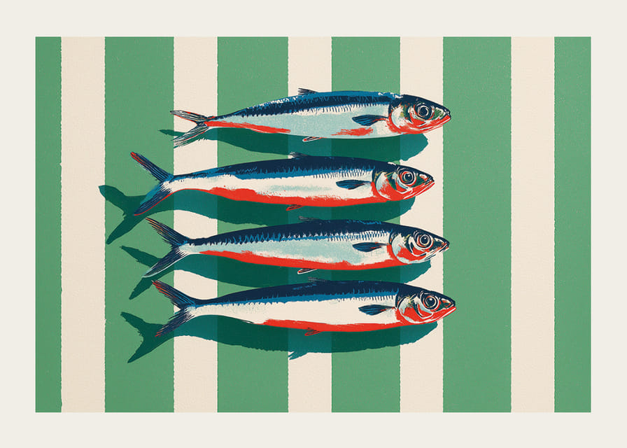 Farverige sardiner arrangerer sig i perfekt symmetri.-12