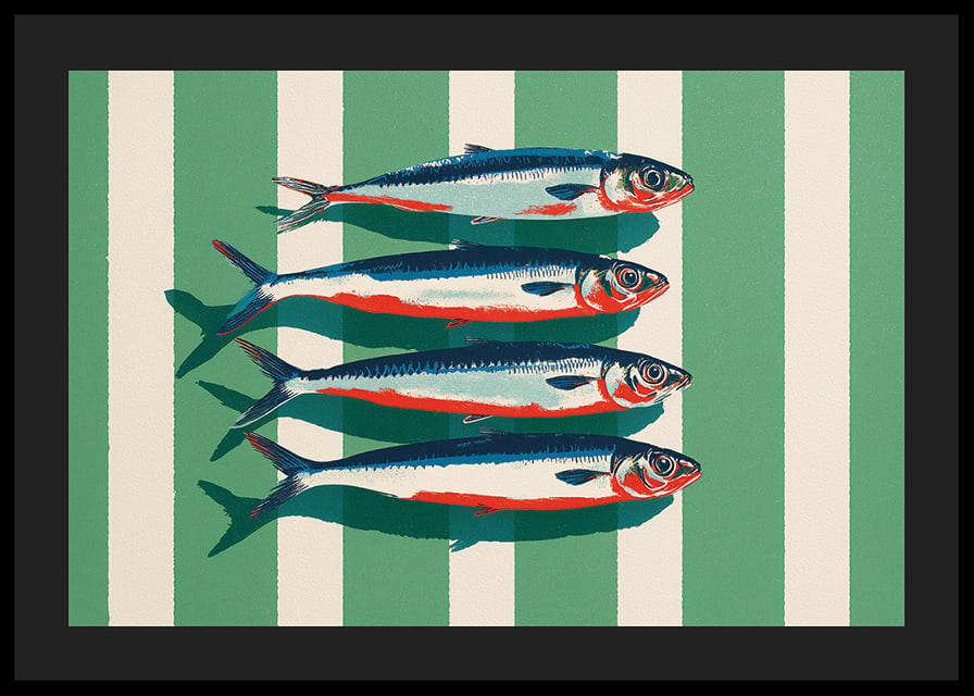Las sardinas de colores se disponen en perfecta simetría.-12