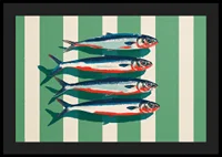 Colorful sardines arrange themselves in perfect symmetry.-4
