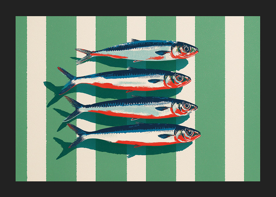 Las sardinas de colores se disponen en perfecta simetría.-12