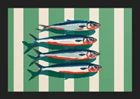 Colorful sardines arrange themselves in perfect symmetry.-5