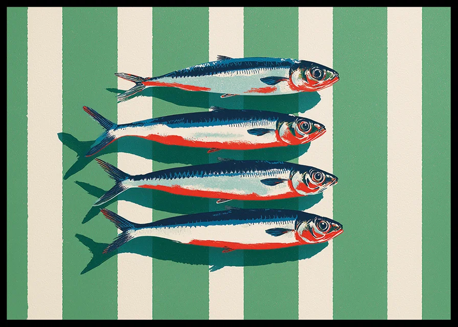 Colorful sardines arrange themselves in perfect symmetry.-12