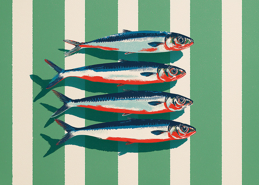 Las sardinas de colores se disponen en perfecta simetría.-12