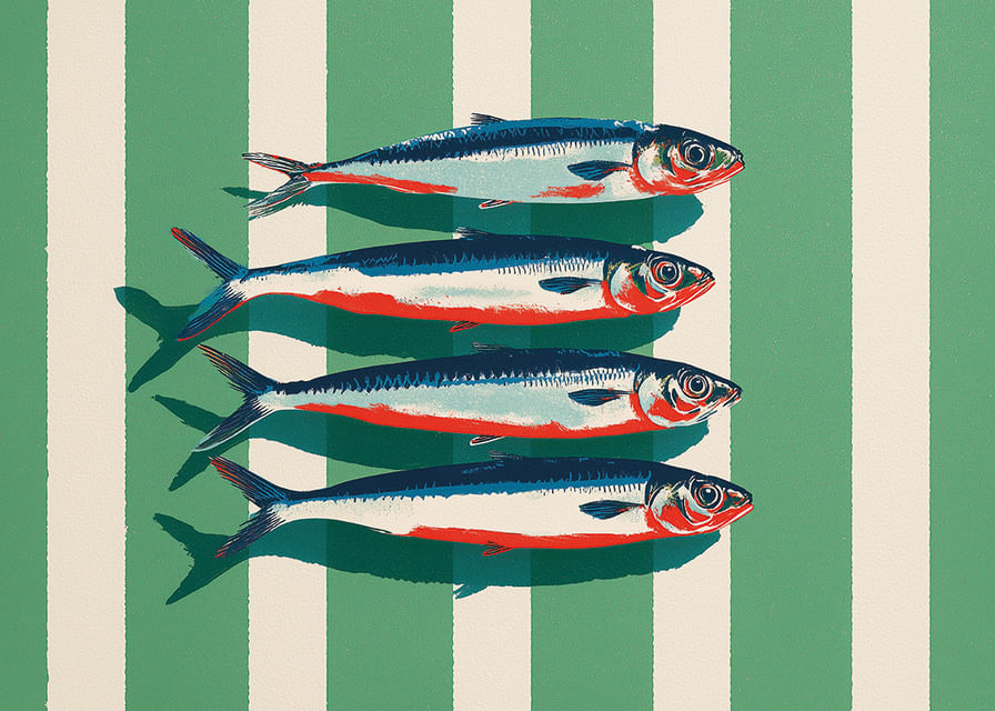 Le sardine colorate si dispongono in perfetta simmetria.-12