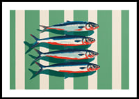 Las sardinas de colores se disponen en perfecta simetría.-0