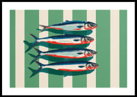 Le sardine colorate si dispongono in perfetta simmetria.-0