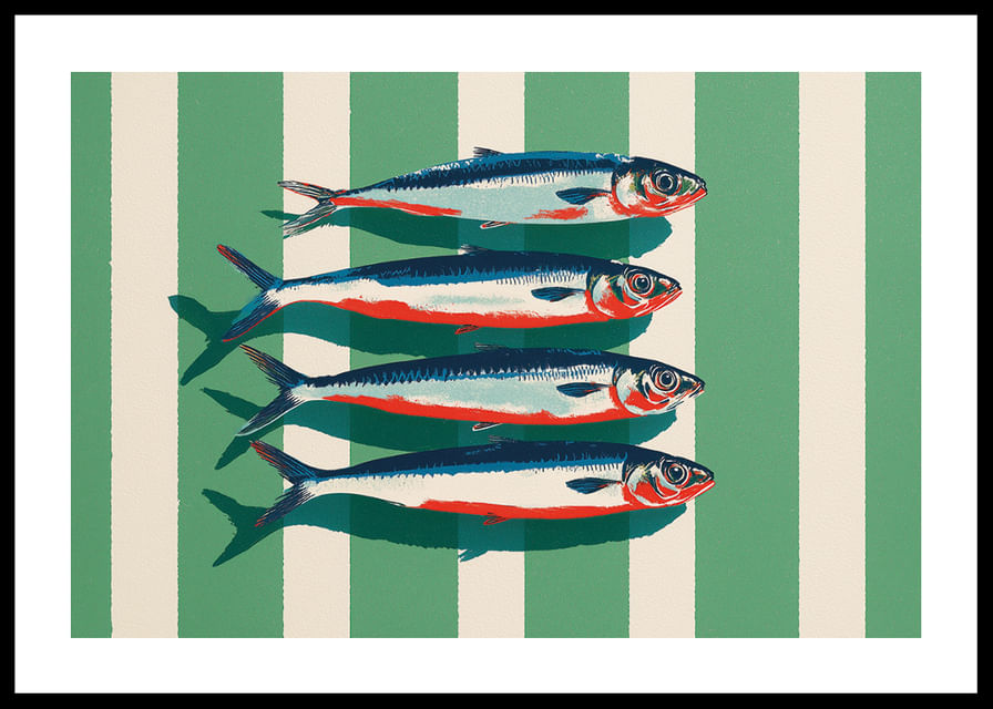 Le sardine colorate si dispongono in perfetta simmetria.-12
