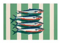 Le sardine colorate si dispongono in perfetta simmetria.-1