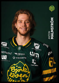 Anton Malmström #64 Björklöven 2025/2026-2
