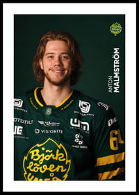 Anton Malmström #64 Björklöven 2025/2026-0