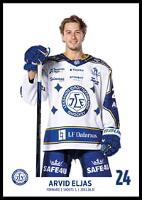 Arvid Eljas #24 Leksands IF 2025/2026-0
