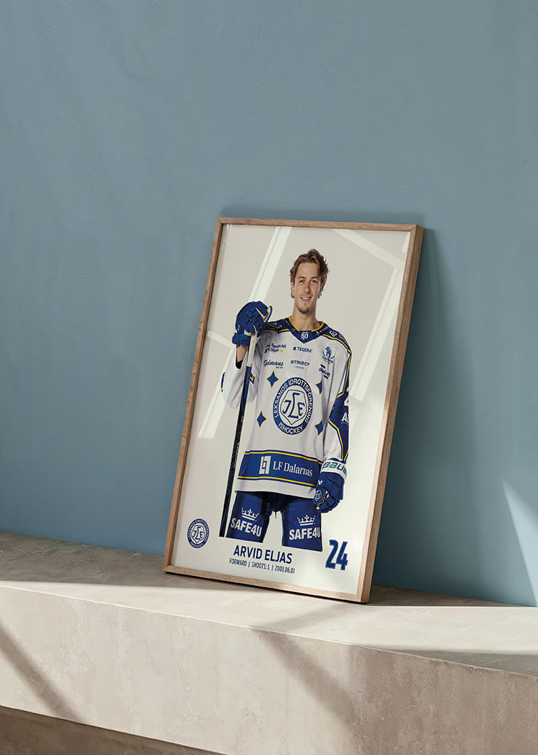Arvid Eljas #24 Leksands IF 2025/2026-12
