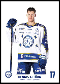 Dennis Altörn #17 Leksands IF 2025/2026-0
