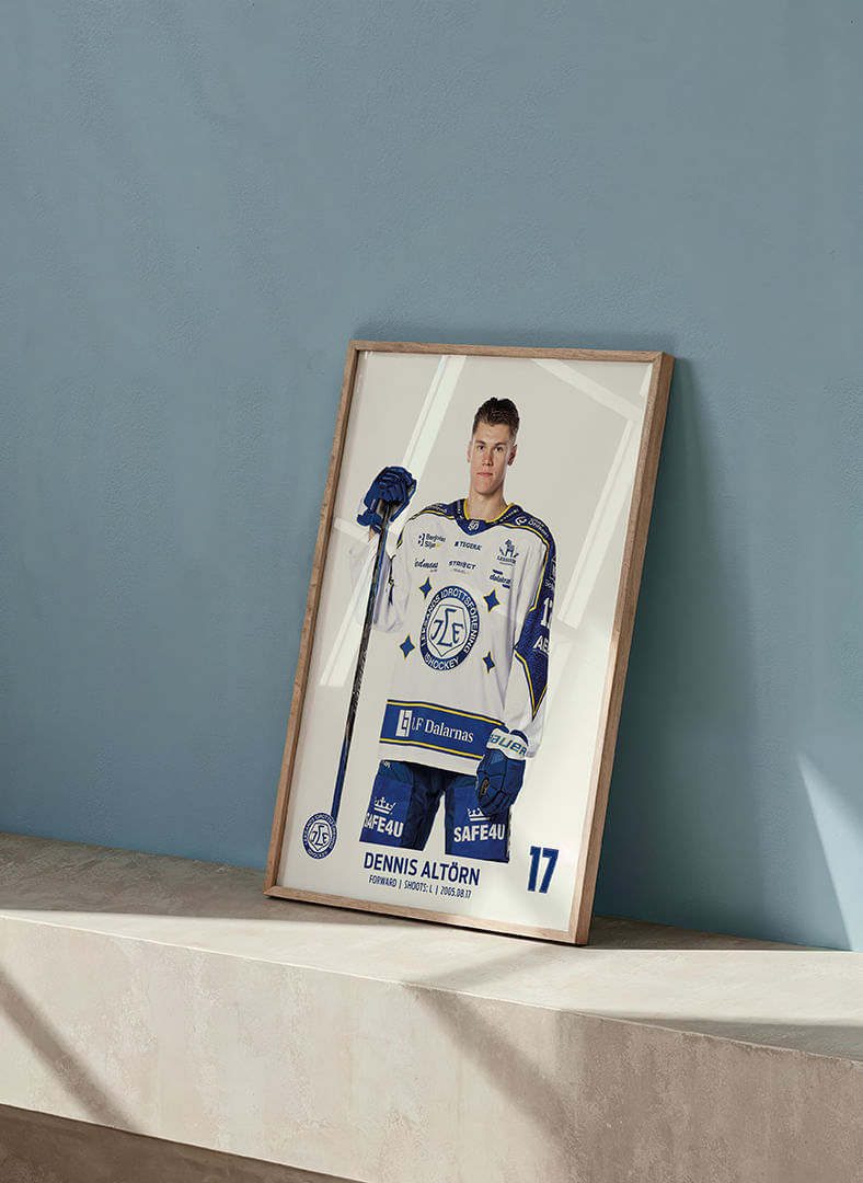 Dennis Altörn #17 Leksands IF 2025/2026-12