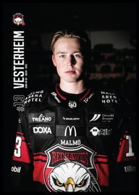 Petter Vesterheim #13 Malmö Redhawks 2025/2026-2