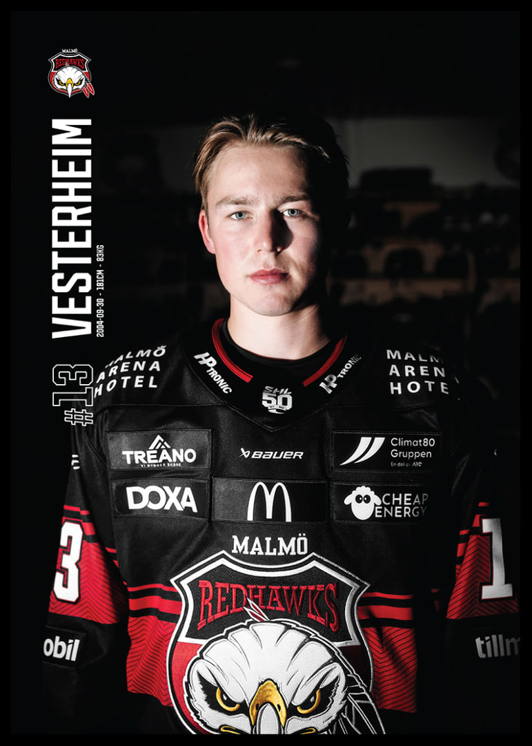 Petter Vesterheim #13 Malmö Redhawks 2025/2026-12